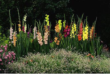 招聘广告透漏信息 《地铁》开发商正开发3A射击游戏